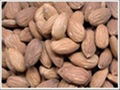 Dry Fruits 2