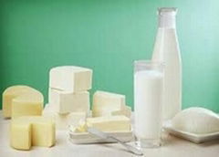 Milk & Dairy Products