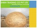 Coconut & Coconut Products 1