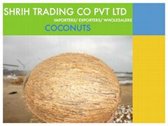 Coconut & Coconut Products