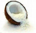 Coconut & Coconut Products 2