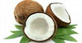 Coconut & Coconut Products 4