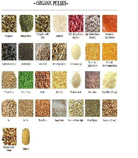 Organic Pulses & Spices