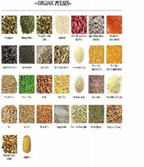 Organic Pulses & Spices