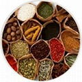 Organic Pulses & Spices 2