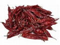 Dry Red Chilli 1