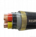 Control cable 1