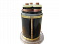 Cross-Linked Polyethylene Insulated Polyvinyl Chloride Jacketed Cables 1