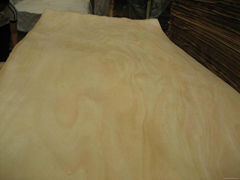  sell Okoume veneer