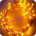  led copper string light 5