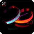 Glowing Pet Collar  2