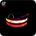 Glowing Pet Collar  4