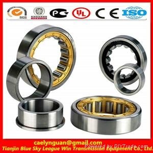  cylindrical roller bearing nu317