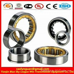 cylindrical roller bearing nu317