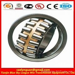 spherical roller bearing 21318