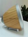 Arclight AS320  the newest bluetooth Wireless  table speaker with Lamp 1