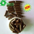 FREE SAMPLE Fast delivery High level Pure ganoderma capsule 4