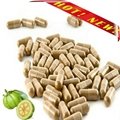 Fast delivery factory prices capsules garcinia cambogia  2