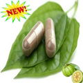 Fast delivery factory prices capsules garcinia cambogia 