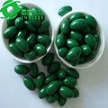 quick slimming spirulina capsules with nourishing stomach regulating immnue 2