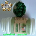 quick slimming spirulina capsules with nourishing stomach regulating immnue 4