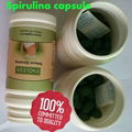 quick slimming spirulina capsules with nourishing stomach regulating immnue 5
