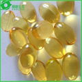 pure natural omega 3 fish oil capsules with excellent quality 3