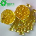 reishi spore oil capsule defend diabetes 500mg OEM 1