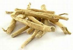 Ashwagandh - Withania somnifera