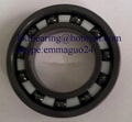 ceramic bearing  2