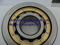 FAG Cylindrical roller bearing  1