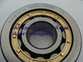 FAG Cylindrical roller bearing  2