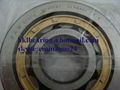 FAG Cylindrical roller bearing  3