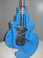 Gate valve