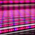 T8 plant grow lights 4