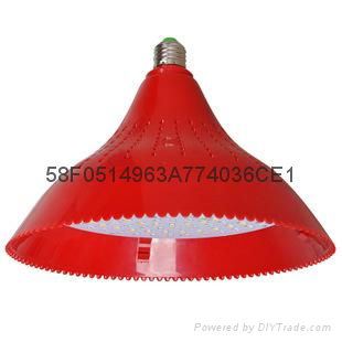 18W pork lamp