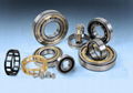 cylindrical roller bearing