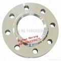 Stainless Steel Forging Flanges Supplier