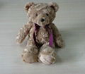 Bear Plush  Soft Toy