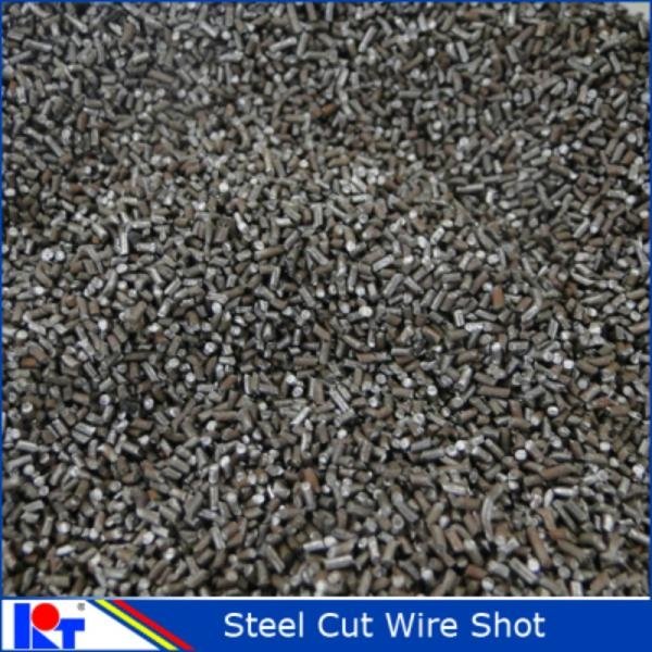 Sell High Quality Steel Cut Wire Shot from China