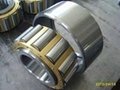Cylindrical Roller Bearings 1