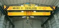 Double Girder Cranes, EOT Cranes, Overhead Cranes Manufacturers 2