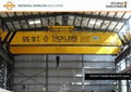 Double Girder Cranes, EOT Cranes, Overhead Cranes Manufacturers 3