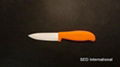 Ceramic Kitchen Knife 2