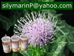 Silymarin (acetone extraction)