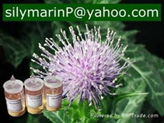 MilK Thistle P.E 80% DAB 