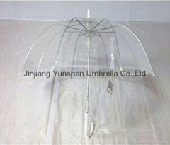 YS-1047Transparent plastic straight umbrella