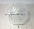 YS-1047Transparent plastic straight umbrella 2