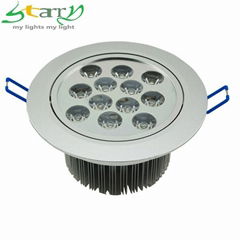 Hot selling warm white 12w led ceiling light