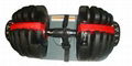 Dumbbell 1